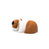 Guinea Pig Mini Fidget