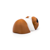 Guinea Pig Mini Fidget