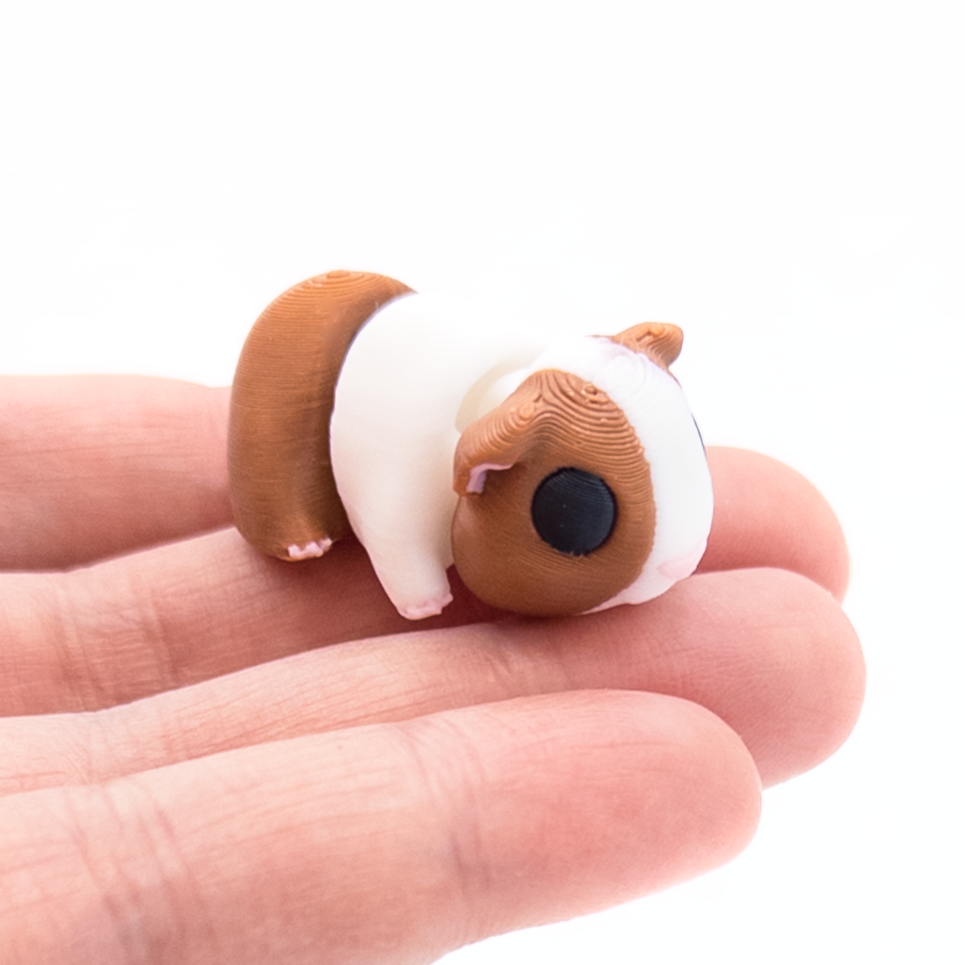 Guinea Pig Mini Fidget