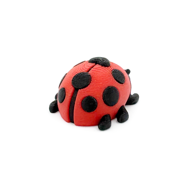 Ladybug Mini Fidget