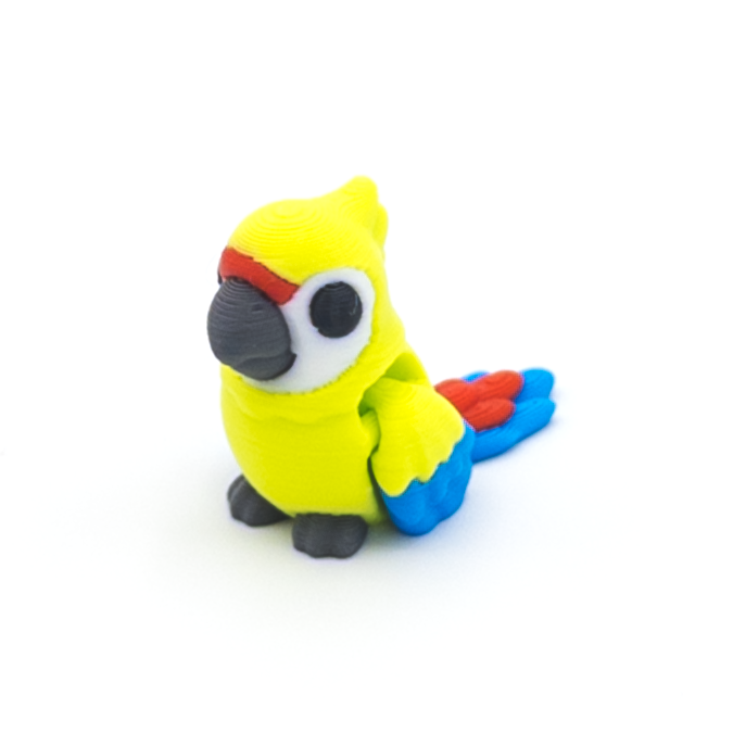 Macaw Mini Fidget