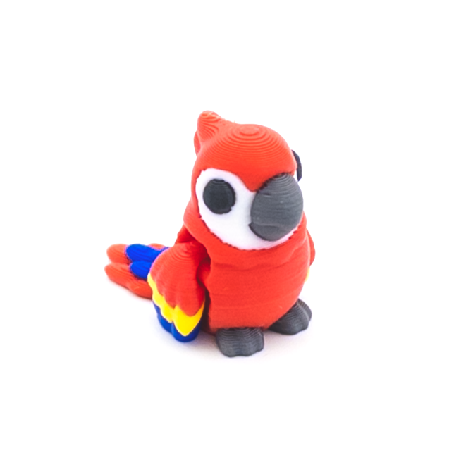 Macaw Mini Fidget