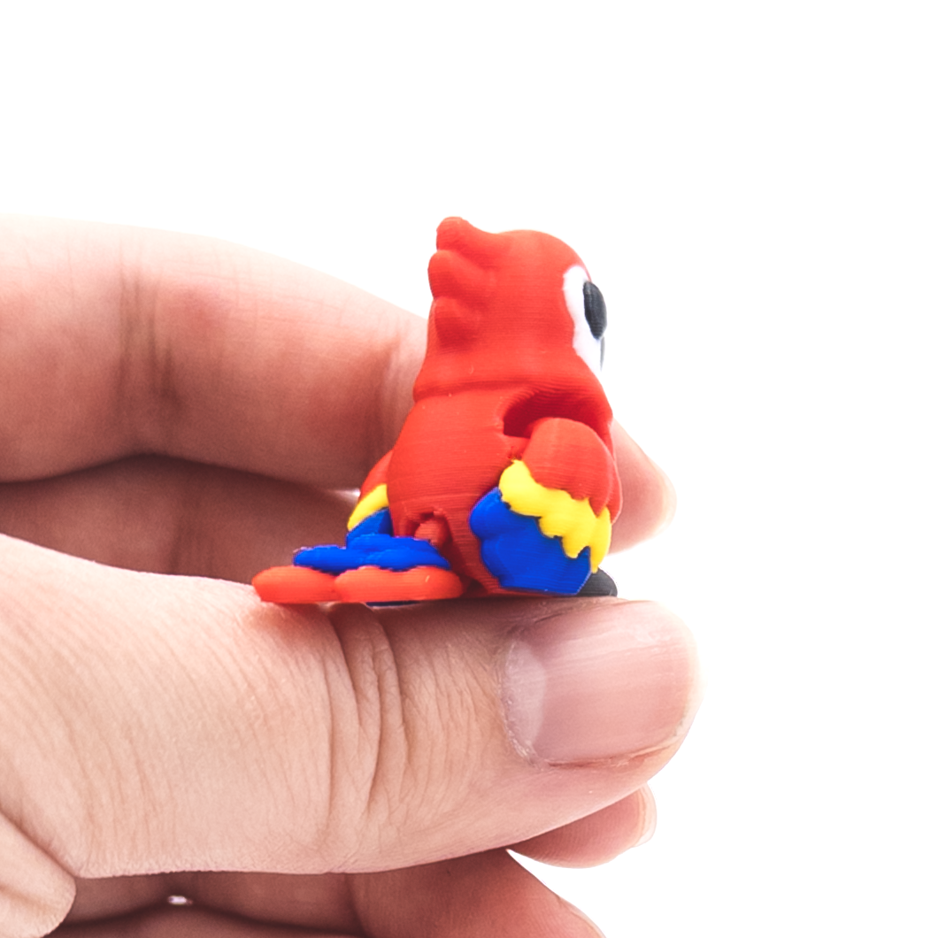 Macaw Mini Fidget