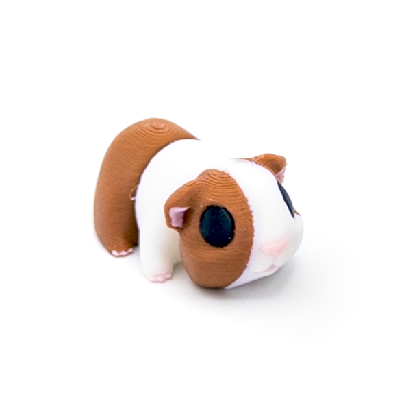 Guinea Pig Mini Fidget