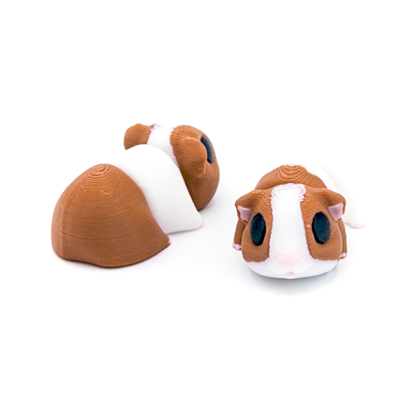 Guinea Pig Mini Fidget