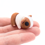 Guinea Pig Mini Fidget