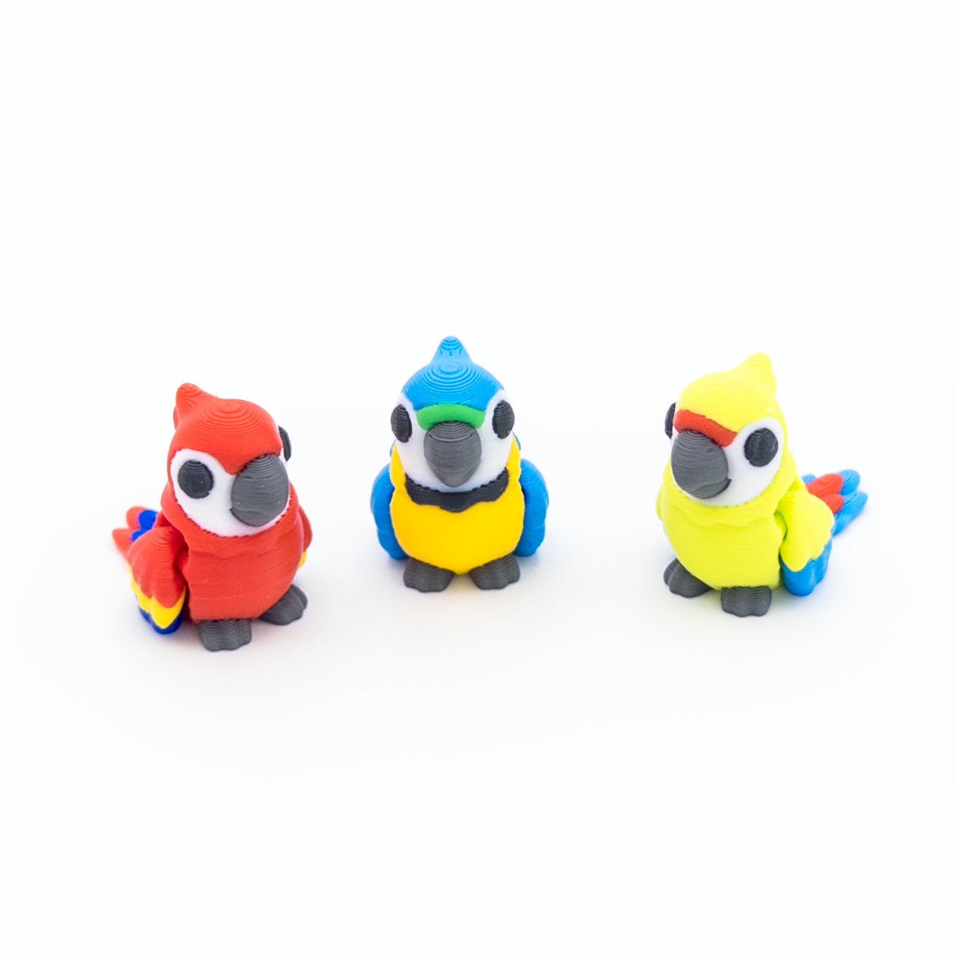 Macaw Mini Fidget