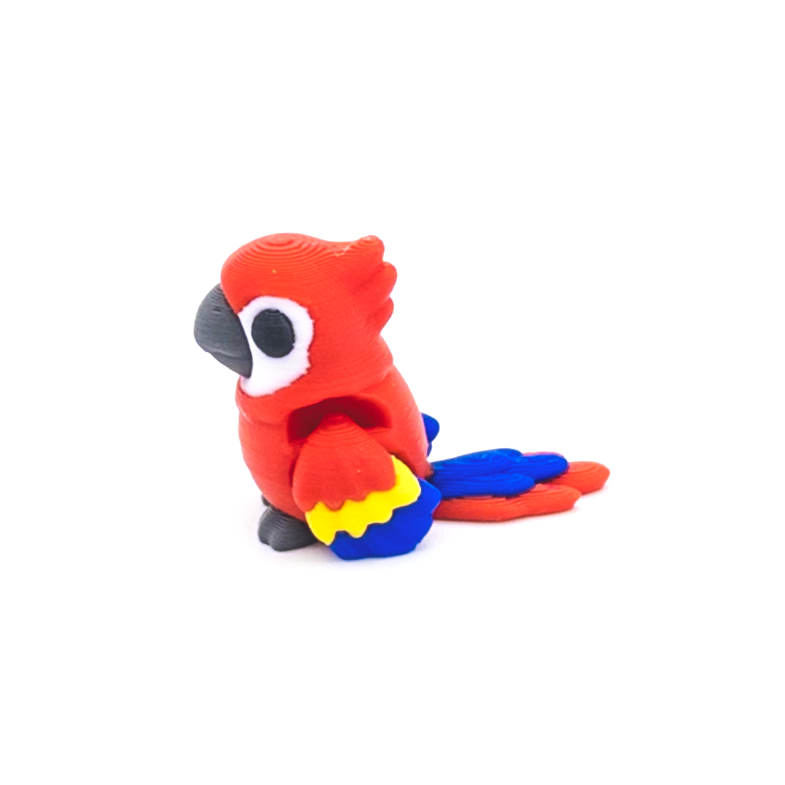 Macaw Mini Fidget