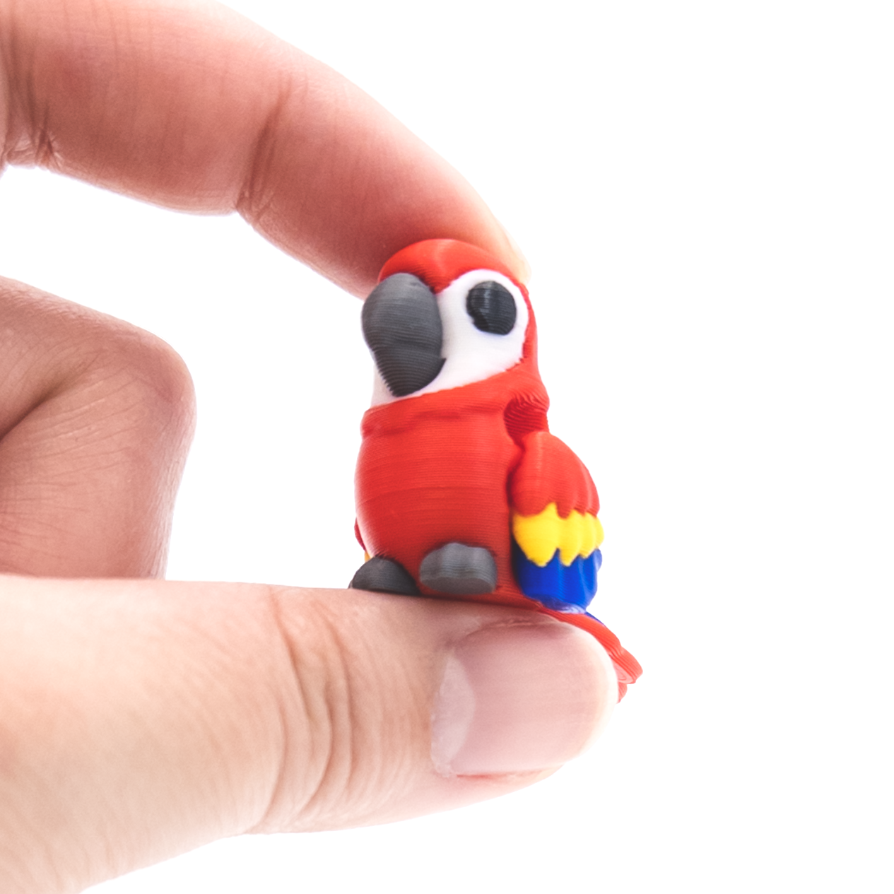 Macaw Mini Fidget