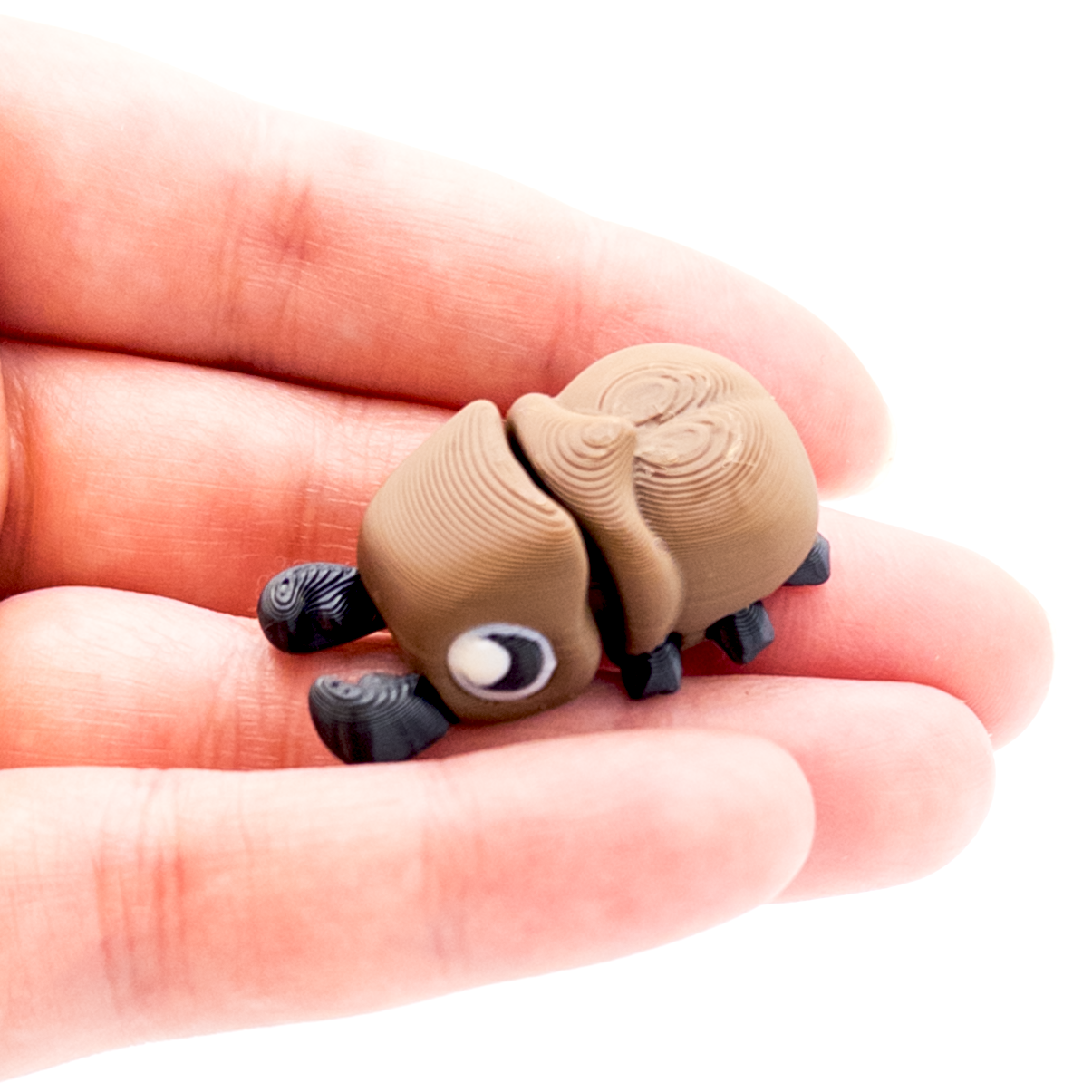 Beetle Mini Fidget