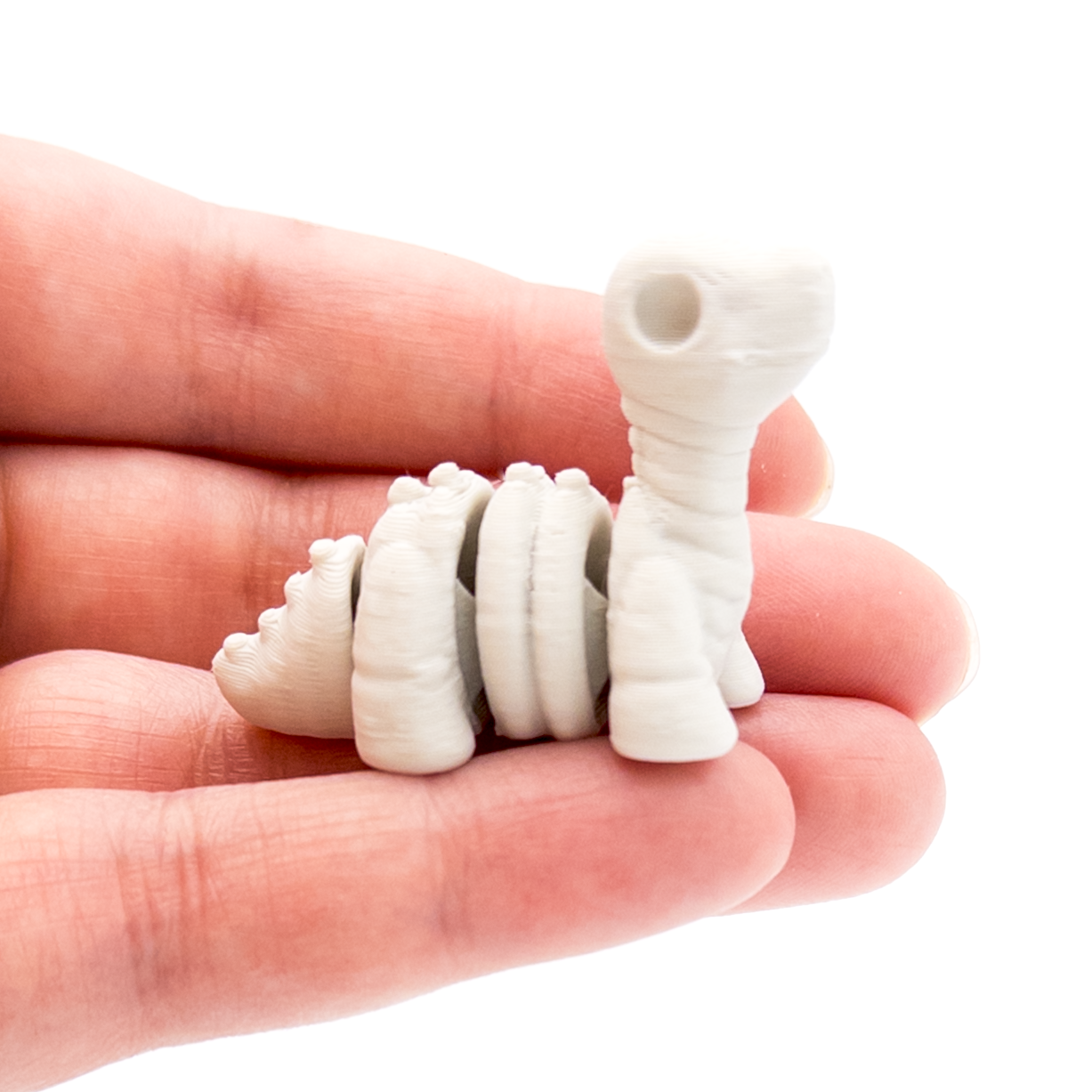 Brontosaurus Skeleton Mini Fidget