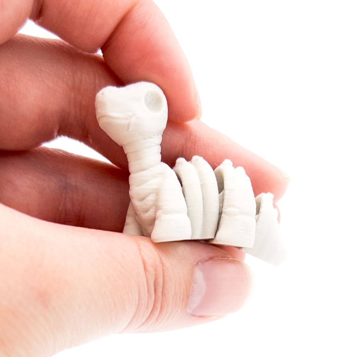 Brontosaurus Skeleton Mini Fidget