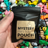 Mystery Mini Fidget Pouch